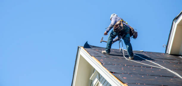 Professional Roofing Contractor in Raleigh, NC